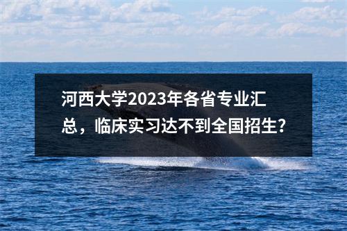 河西大学2023年各省专业汇总,临床实习达不到全国招生?