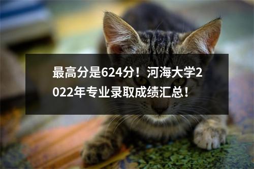 最高分是624分!河海大学2022年专业录取成绩汇总!