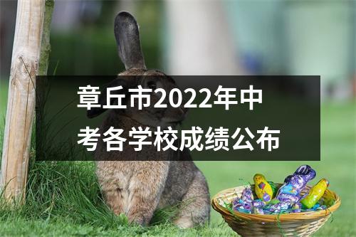 章丘市2022年中考各学校成绩公布