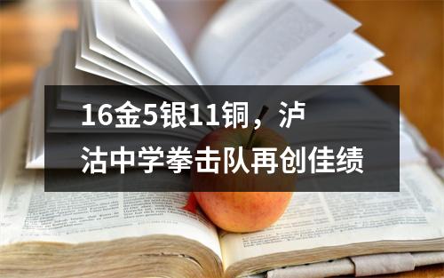 16金5银11铜,泸沽中学拳击队再创佳绩