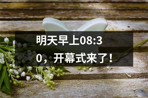 明天早上08:30,开幕式来了!