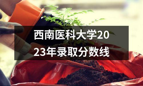 西南医科大学2023年录取分数线