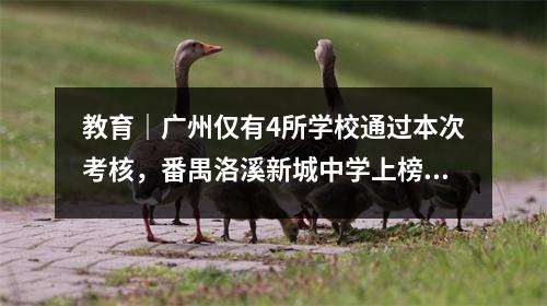 教育|广州仅有4所学校通过本次考核,番禺洛溪新城中学上榜!