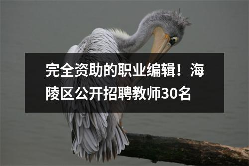 完全资助的职业编辑!海陵区公开招聘教师30名