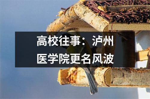 高校往事:泸州医学院更名风波