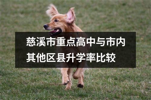 慈溪市重点高中与市内其他区县升学率比较