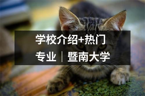 学校介绍+热门专业|暨南大学
