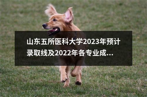 山东五所医科大学2023年预计录取线及2022年各专业成绩
