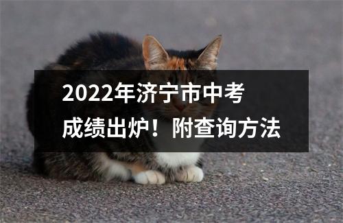 2022年济宁市中考成绩出炉!附查询方法