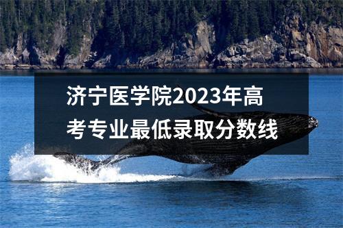济宁医学院2023年高考专业最低录取分数线