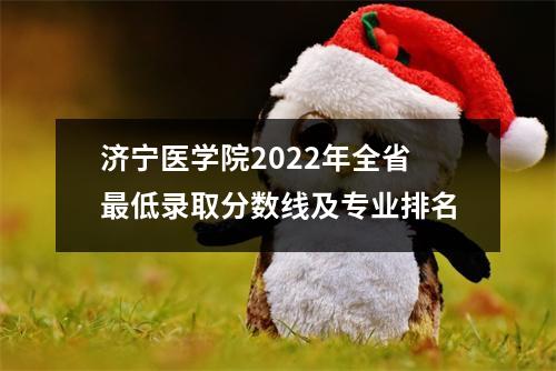 济宁医学院2022年全省最低录取分数线及专业排名