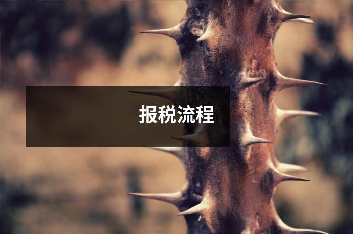 报税流程