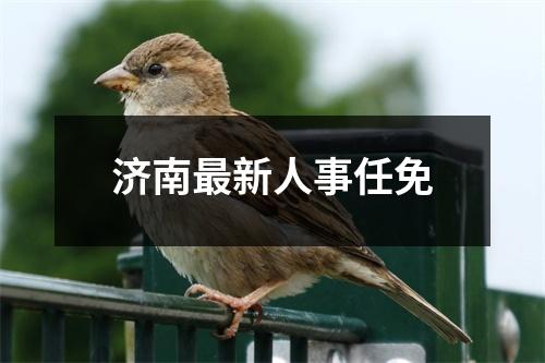 济南最新人事任免