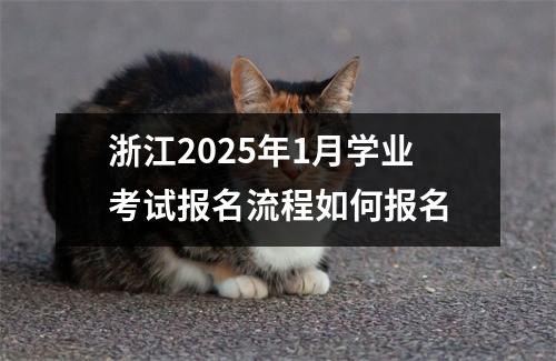 浙江2025年1月学业考试报名流程如何报名