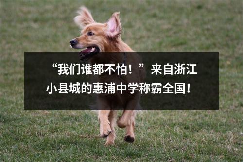 “我们谁都不怕!”来自浙江小县城的惠浦中学称霸全国!