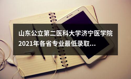 山东公立第二医科大学济宁医学院2021年各省专业最低录取分数线