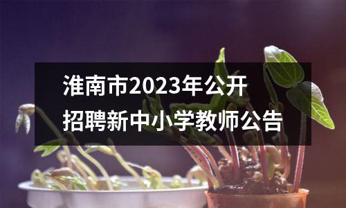 淮南市2023年公开招聘新中小学教师公告