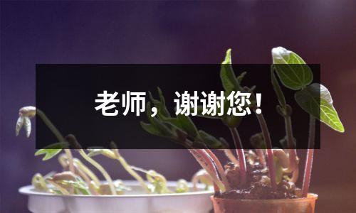 老师,谢谢您!