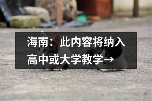 海南:此内容将纳入高中或大学教学→