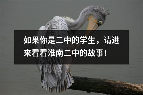 如果你是二中的学生,请进来看看淮南二中的故事!