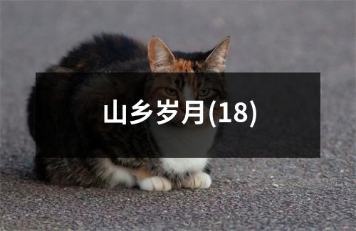 山乡岁月(18)