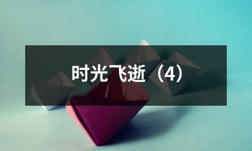 时光飞逝(4)