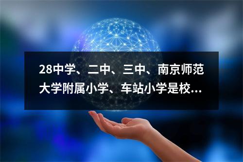 28中学、二中、三中、南京师范大学附属小学、车站小学是校区和学区最齐全的。