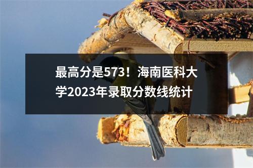 最高分是573!海南医科大学2023年录取分数线统计