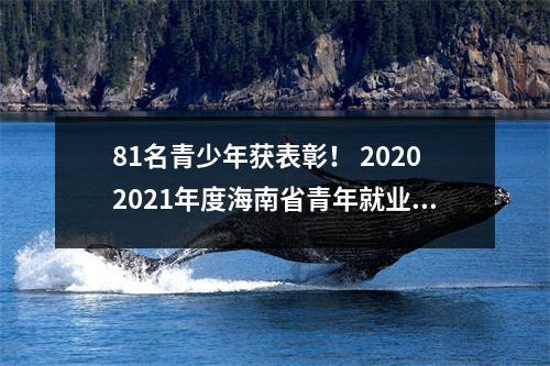 81名青少年获表彰! 20202021年度海南省青年就业能手评选结果揭晓