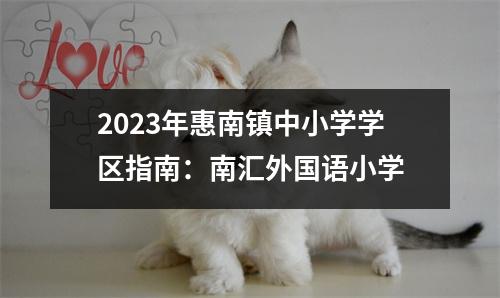 2023年惠南镇中小学学区指南:南汇外国语小学