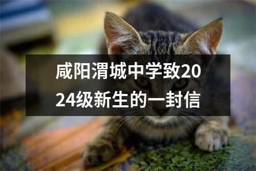 咸阳渭城中学致2024级新生的一封信