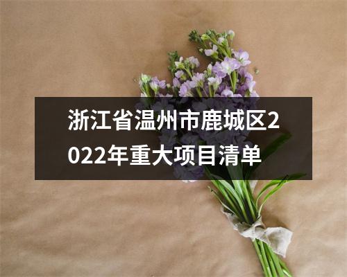 浙江省温州市鹿城区2022年重大项目清单