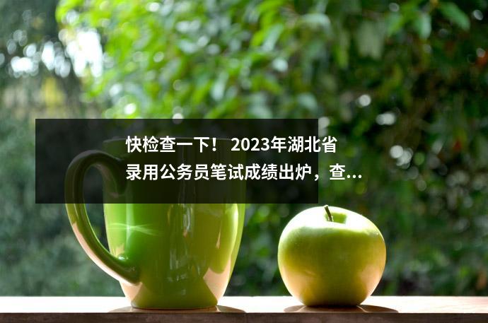 快检查一下! 2023年湖北省录用公务员笔试成绩出炉,查看通道戳→