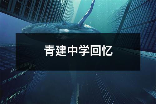 青建中学回忆