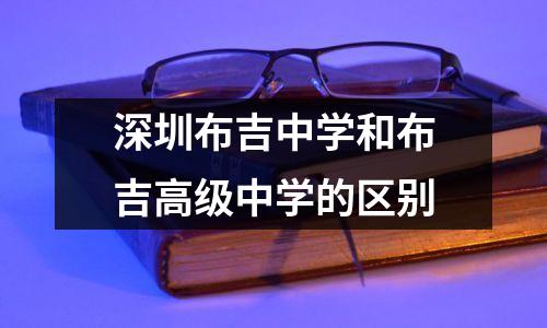 深圳布吉中学和布吉高级中学的区别