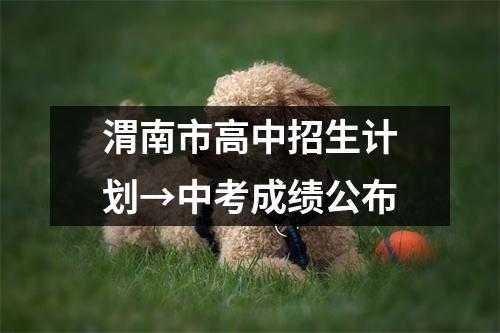 渭南市高中招生计划→中考成绩公布