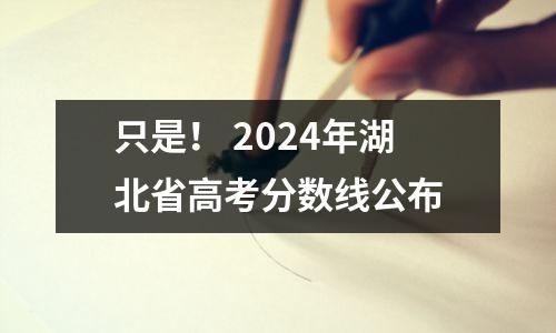 只是! 2024年湖北省高考分数线公布