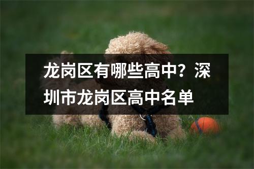 龙岗区有哪些高中?深圳市龙岗区高中名单