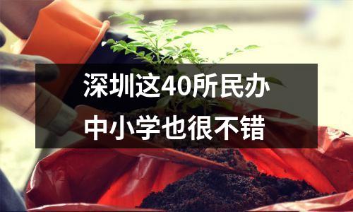 深圳这40所民办中小学也很不错