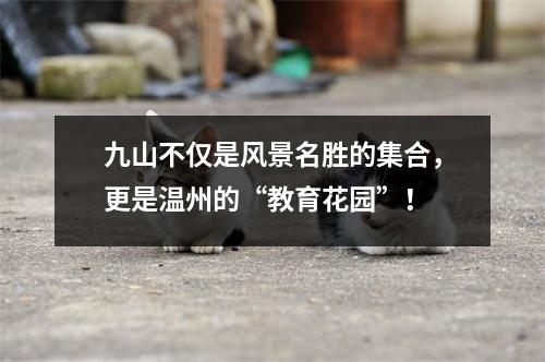 九山不仅是风景名胜的集合,更是温州的“教育花园”!