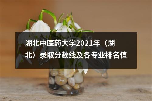 湖北中医药大学2021年(湖北)录取分数线及各专业排名值