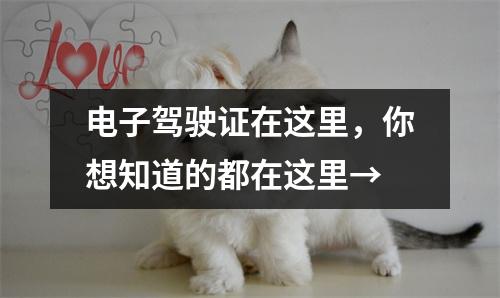 电子驾驶证在这里,你想知道的都在这里→