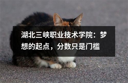 湖北三峡职业技术学院:梦想的起点,分数只是门槛