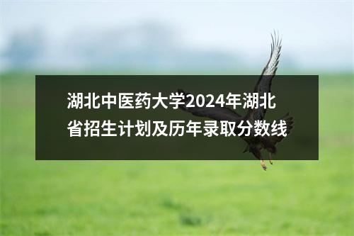 湖北中医药大学2024年湖北省招生计划及历年录取分数线
