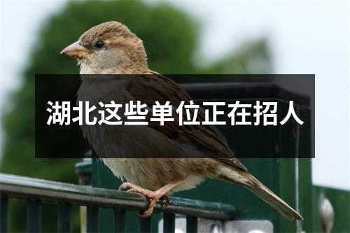 湖北这些单位正在招人