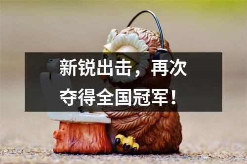 新锐出击,再次夺得全国冠军!