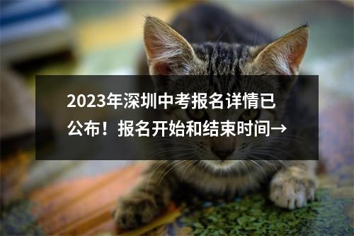 2023年深圳中考报名详情已公布!报名开始和结束时间→