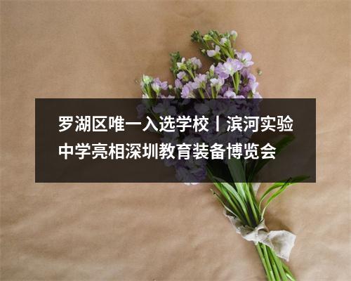 罗湖区唯一入选学校丨滨河实验中学亮相深圳教育装备博览会