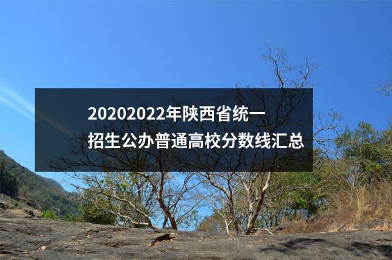20202022年陕西省统一招生公办普通高校分数线汇总