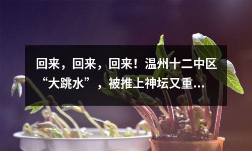 回来,回来,回来!温州十二中区“大跳水”,被推上神坛又重回水面?
